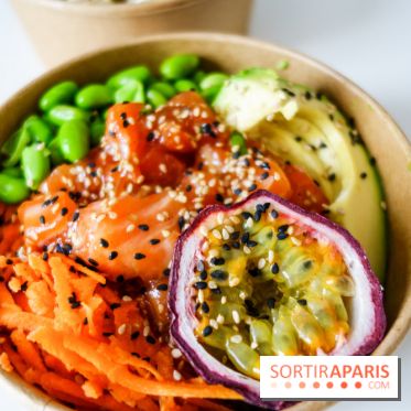 Pokelife, les photos