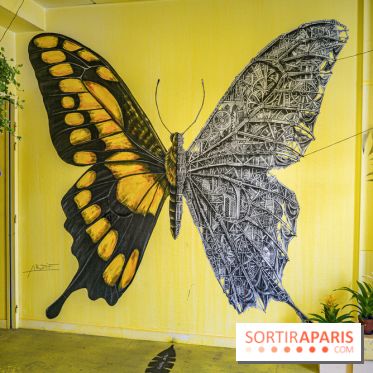 Le Colors Festival : un festival de street-art dans un immeuble désaffecté