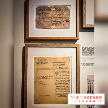 Nous vous aimons, Madame : l'expo hommage à Simone Veil à l'Hôtel de Ville de Paris - nos photos