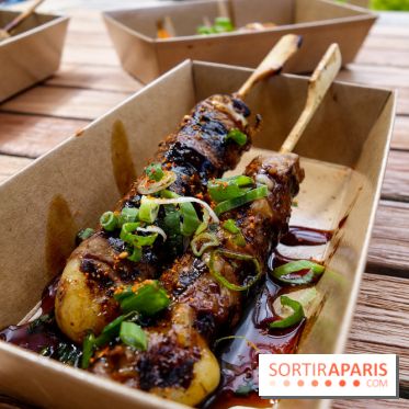 Hanami Paris, Ła terrasse éphémère du Trocadéro