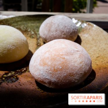 Hanami Paris, Ła terrasse éphémère du Trocadéro