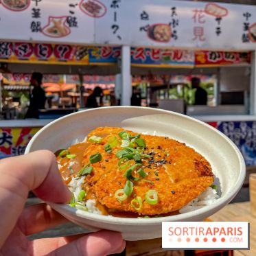 Hanami Paris, Ła terrasse éphémère du Trocadéro - IMG 4490