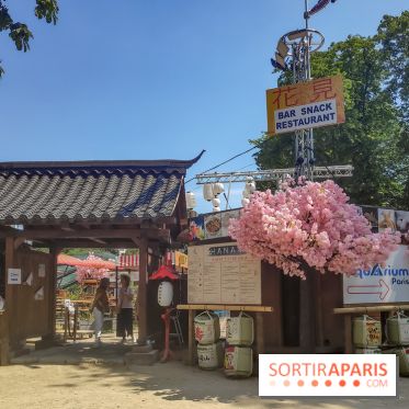 Hanami Paris, Ła terrasse éphémère du Trocadéro - IMG 20230616 120439
