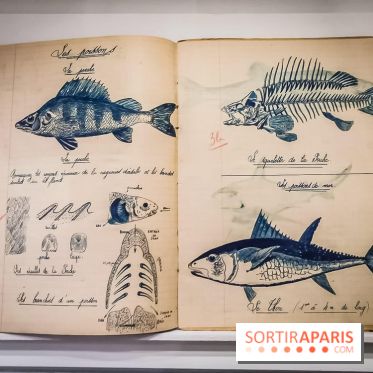 Uderzo, comme une potion magique : l'exposition hommage au Musée Maillol - nos photos