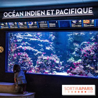 L'Aquarium Tropical de la Porte Dorée