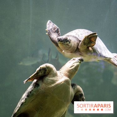 L'Aquarium Tropical de la Porte Dorée