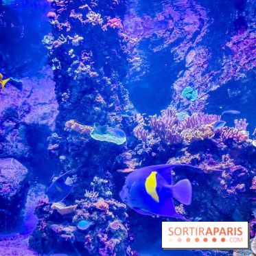 L'Aquarium Tropical de la Porte Dorée