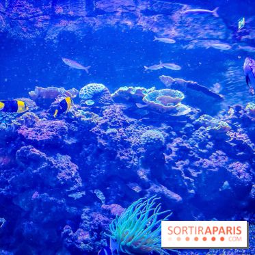 L'Aquarium Tropical de la Porte Dorée