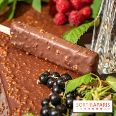 Frissons d'été, les glaces bâtonnets de la Maison du Chocolat par la Glacerie 2021