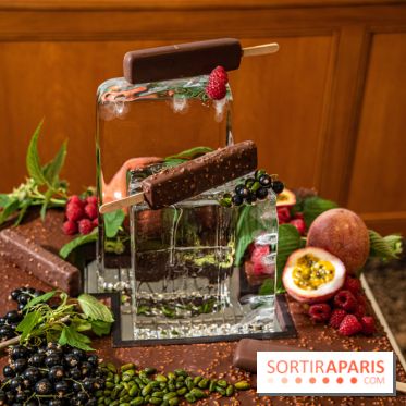Frissons d'été, les glaces bâtonnets de la Maison du Chocolat par la Glacerie 2021
