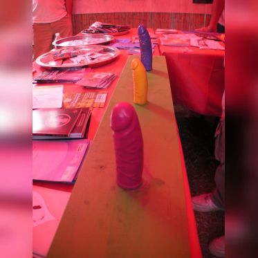 Rock en Seine 2009 -
God Save the Gouine