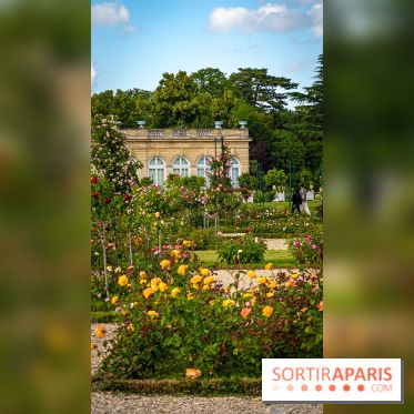 Le Parc de Bagatelle - A7C00141