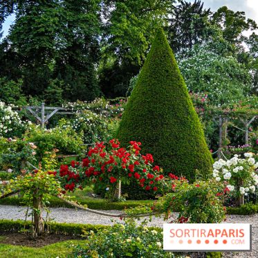 Le Parc de Bagatelle - A7C00138