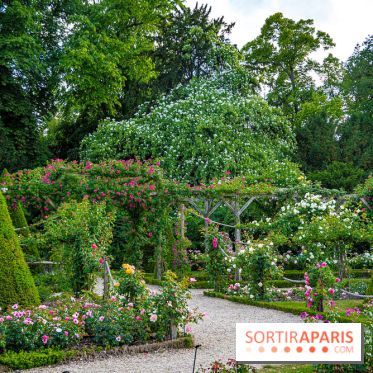 Le Parc de Bagatelle - A7C00140