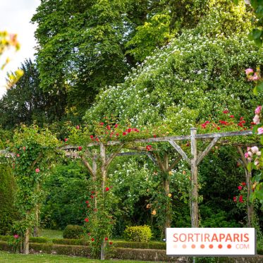 Le Parc de Bagatelle - A7C00126