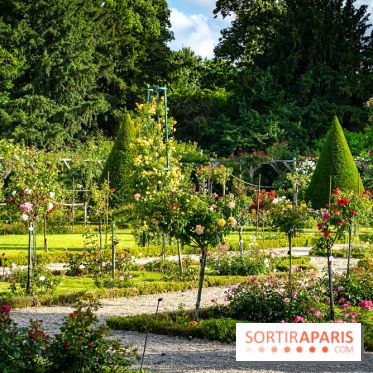 Le Parc de Bagatelle - A7C00119