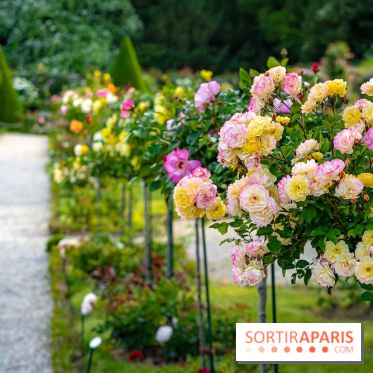 Le Parc de Bagatelle - A7C00116