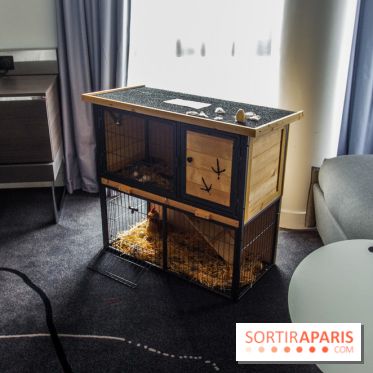 Le « Dîner avec les poules », nos photos