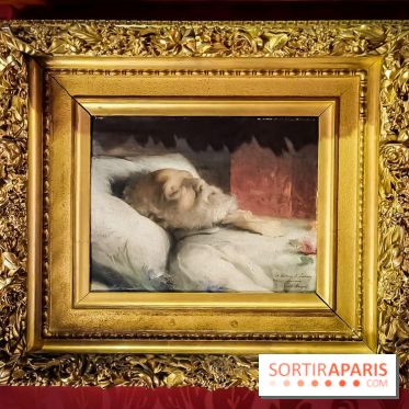 La maison de Victor Hugo à Paris - nos photos