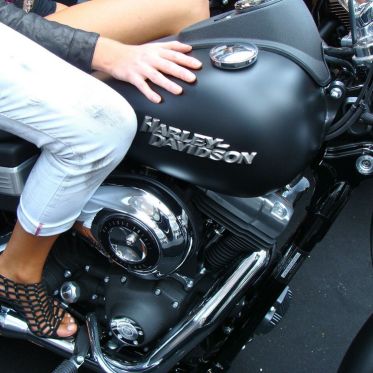 Who's Next 2009 - Belle bête