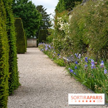 Le Château d'Auvers sur Oise  - A7C08679