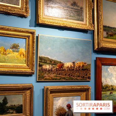 Le Château d'Auvers sur Oise  - A7C08783