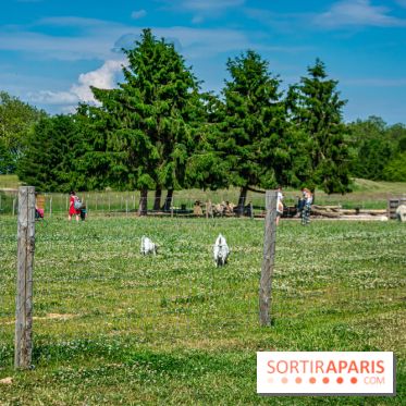Parrot World, le parc animalier immersif d'Île-de-France