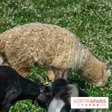 Parrot World, le parc animalier immersif d'Île-de-France