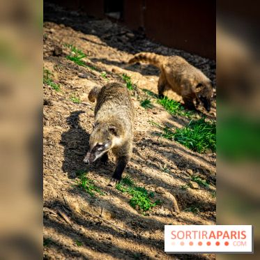 Parrot World, le parc animalier immersif d'Île-de-France