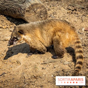 Parrot World, le parc animalier immersif d'Île-de-France
