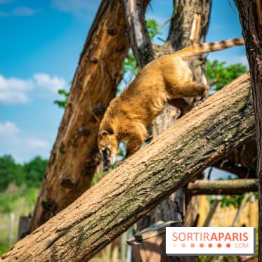 Parrot World, le parc animalier immersif d'Île-de-France