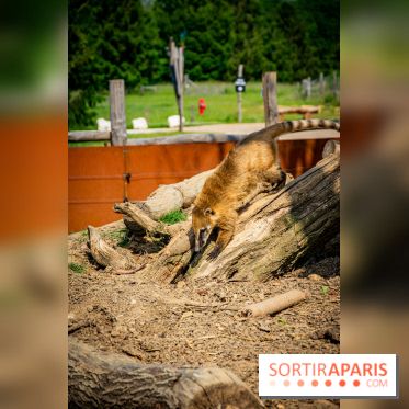 Parrot World, le parc animalier immersif d'Île-de-France