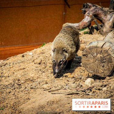 Parrot World, le parc animalier immersif d'Île-de-France