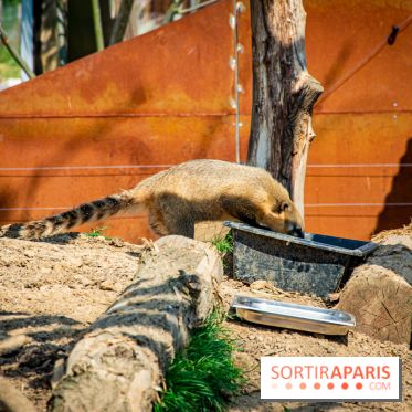 Parrot World, le parc animalier immersif d'Île-de-France