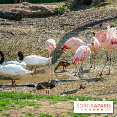 Parrot World, le parc animalier immersif d'Île-de-France