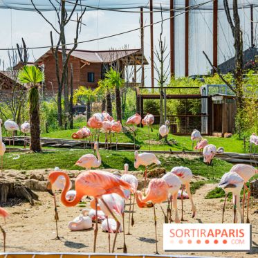 Parrot World, le parc animalier immersif d'Île-de-France