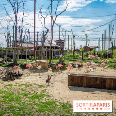 Parrot World, le parc animalier immersif d'Île-de-France