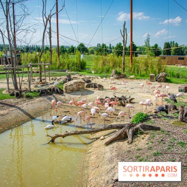 Parrot World, le parc animalier immersif d'Île-de-France