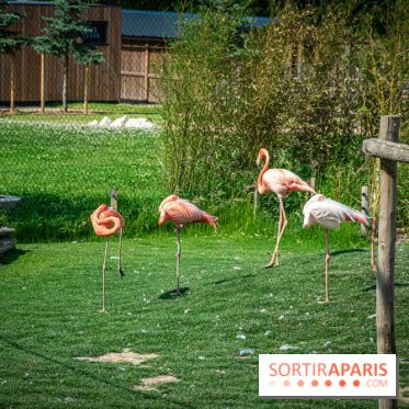 Parrot World, le parc animalier immersif d'Île-de-France