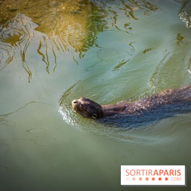 Parrot World, le parc animalier immersif d'Île-de-France