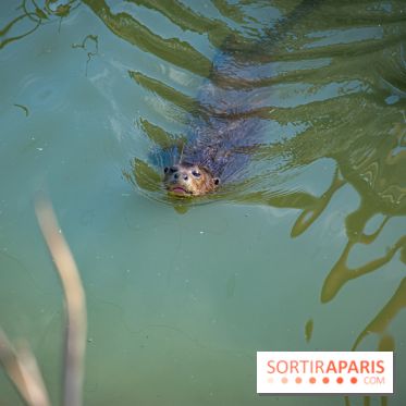 Parrot World, le parc animalier immersif d'Île-de-France