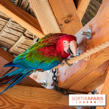 Parrot World, le parc animalier immersif d'Île-de-France