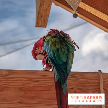 Parrot World, le parc animalier immersif d'Île-de-France