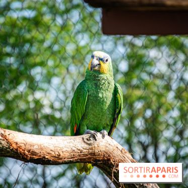 Parrot World, le parc animalier immersif d'Île-de-France