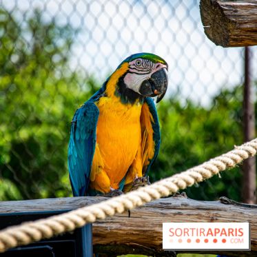 Parrot World, le parc animalier immersif d'Île-de-France