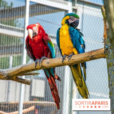 Parrot World, le parc animalier immersif d'Île-de-France