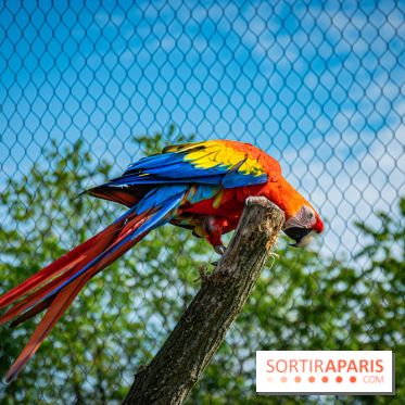 Parrot World, le parc animalier immersif d'Île-de-France