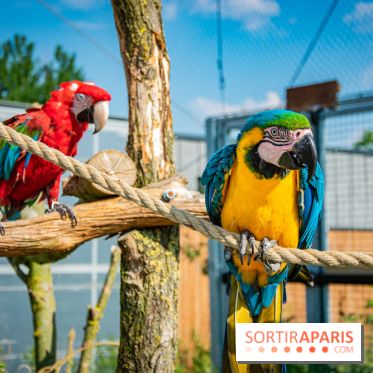 Parrot World, le parc animalier immersif d'Île-de-France