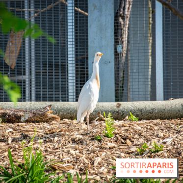 Parrot World, le parc animalier immersif d'Île-de-France