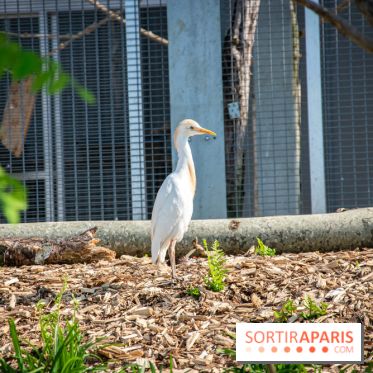 Parrot World, le parc animalier immersif d'Île-de-France